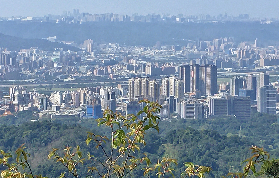 7月交易量連三降後首度回升 8月再持續疲軟