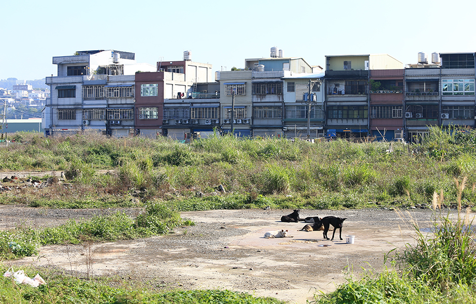 物流倉儲熱門工業地難求  世邦魏理仕：投報率優於A辦