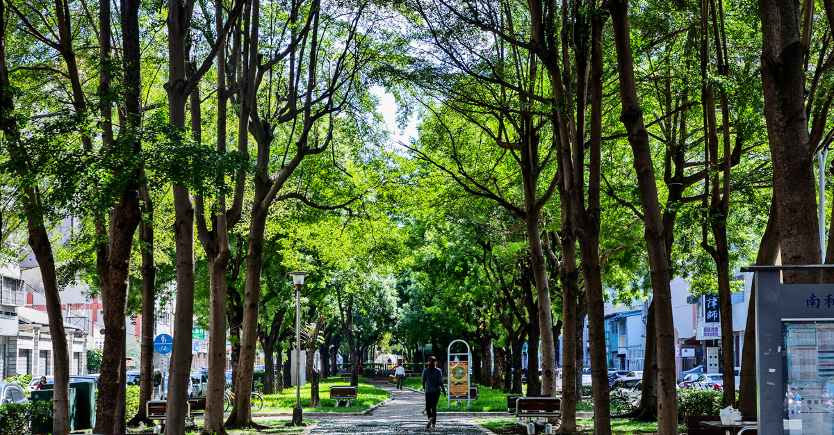 樹義園道.jpg
