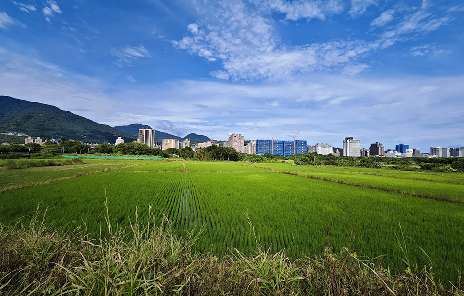 禁建逾 50 年   關渡平原、洲美平原有「機會」解禁